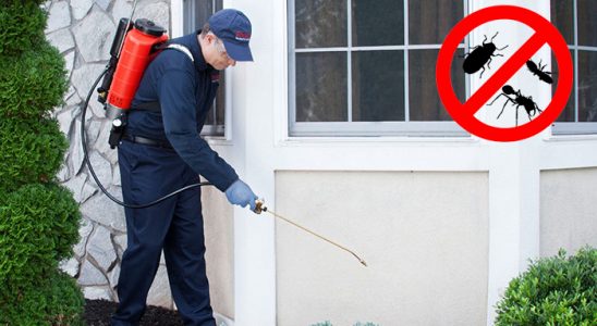 Orta Dezenfeksiyon böcek ilaçlama ve haşere kontrolü — ilaclama-tr.com
